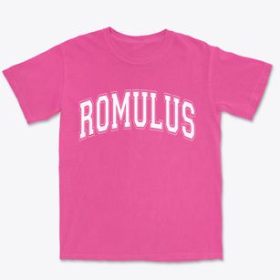 Romulus New York Varsity Premium Heavyweight T-shirt