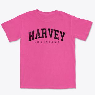 Harvey Louisiana Urban Vibe Premium Heavyweight T-shirt