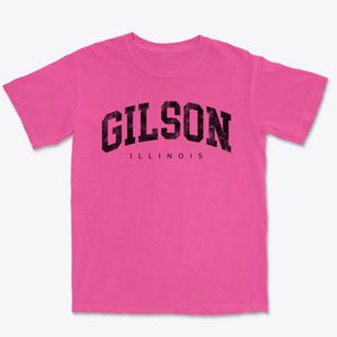 Gilson Illinois Urban Vibe Premium Heavyweight T-shirt