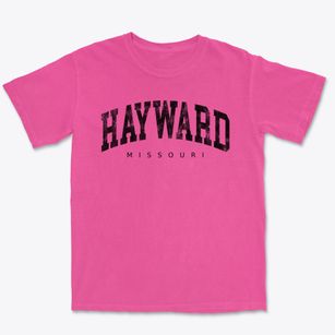 Hayward Missouri Urban Vibe Premium Heavyweight T-shirt