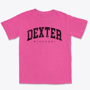 Dexter Missouri Urban Vibe Premium Heavyweight T-shirt