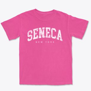 Seneca New York Urban Vibe Premium Heavyweight T-shirt