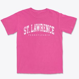 St. Lawrence Pennsylvania Urban Vibe Premium Heavyweight T-shirt