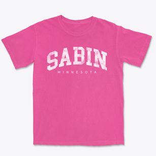 Sabin Minnesota Urban Vibe Premium Heavyweight T-shirt