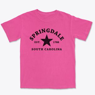 Springdale South Carolina Star Premium Heavyweight T-shirt