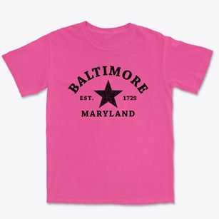 Baltimore Maryland Star Premium Heavyweight T-shirt