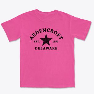 Ardencroft Delaware Star Premium Heavyweight T-shirt