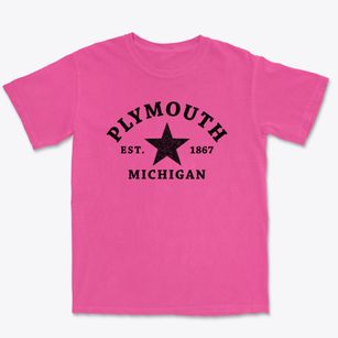 Plymouth Michigan Star Premium Heavyweight T-shirt
