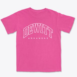 Dewitt Arkansas Inline Premium Heavyweight T-shirt