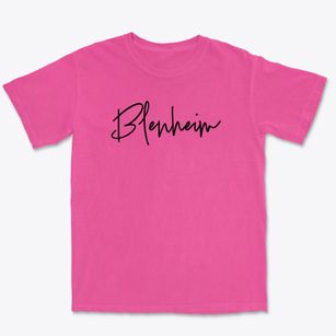 Blenheim New York Freestyle Premium Heavyweight T-shirt