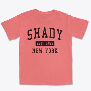 Shady New York Classic Established Premium Heavyweight T-shirt