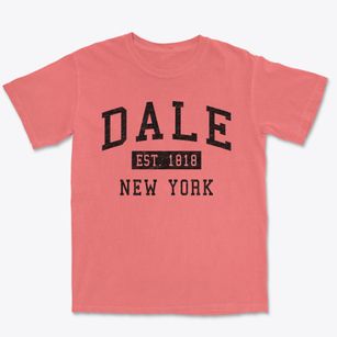 Dale New York Classic Established Premium Heavyweight T-shirt