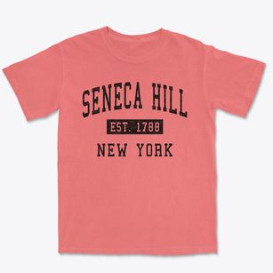 Seneca Hill New York Classic Established Premium Heavyweight T-shirt