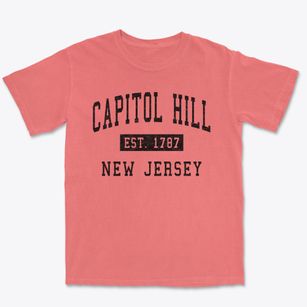 Capitol Hill New Jersey Classic Established Premium Heavyweight T-shirt