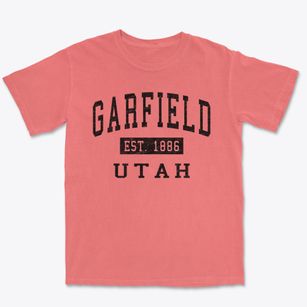 Garfield Utah Classic Established Premium Heavyweight T-shirt