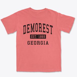 Demorest Georgia Classic Established Premium Heavyweight T-shirt