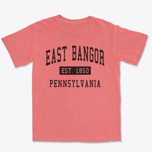 East Bangor Pennsylvania Classic Established Premium Heavyweight T-shirt