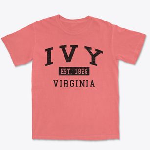 Ivy Virginia Classic Established Premium Heavyweight T-shirt