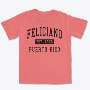 Feliciano Puerto Rico Classic Established Premium Heavyweight T-shirt