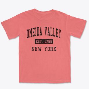 Oneida Valley New York Classic Established Premium Heavyweight T-shirt