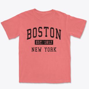 Boston New York Classic Established Premium Heavyweight T-shirt