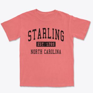 Starling North Carolina Classic Established Premium Heavyweight T-shirt