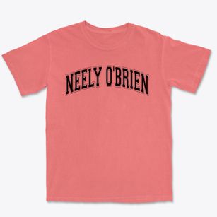 Neely O'brien Elementary School Varsity Arch Premium Heavyweight T-shirt
