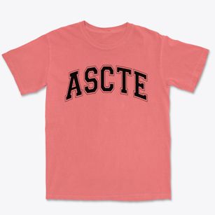 Alabama School Of Cyber Technology And Engineering Varsity Arch Premium Heavyweight T-shirt