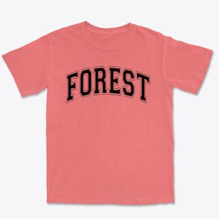 Forest Heights Lodge School Varsity Arch Premium Heavyweight T-shirt
