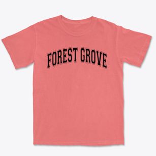 Forest Grove Christian Academy Varsity Arch Premium Heavyweight T-shirt