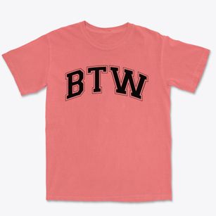 Booker T. Washington High School Varsity Arch Premium Heavyweight T-shirt