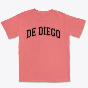 De Diego Community Academy Varsity Arch Premium Heavyweight T-shirt