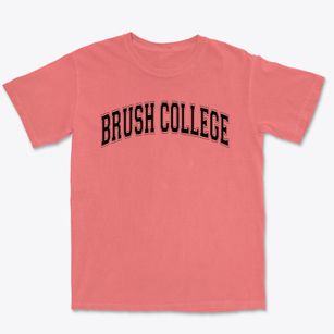 Brush College Elementary School Varsity Arch Premium Heavyweight T-shirt