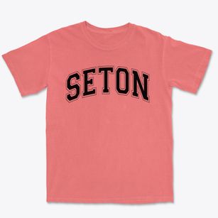 Seton Catholic Elementary School Varsity Arch Premium Heavyweight T-shirt