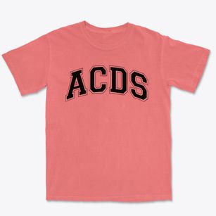 Alexandria Country Day School Varsity Arch Premium Heavyweight T-shirt
