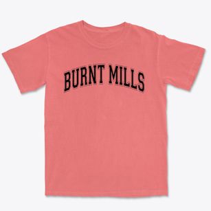 Burnt Mills Elementary School Varsity Arch Premium Heavyweight T-shirt