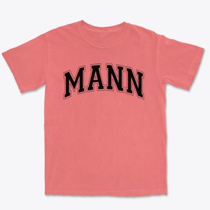 Mann Elementary School Varsity Arch Premium Heavyweight T-shirt