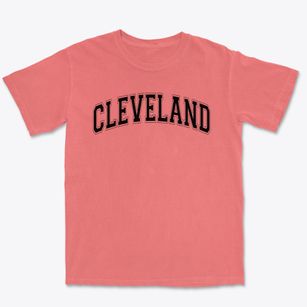 Cleveland Elementary School Varsity Arch Premium Heavyweight T-shirt