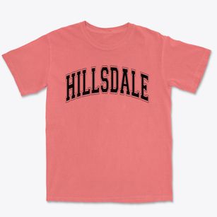 Hillsdale Elementary School Varsity Arch Premium Heavyweight T-shirt