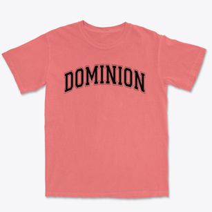 Dominion Academy Varsity Arch Premium Heavyweight T-shirt