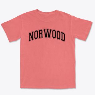 Norwood Baptist Christian School Varsity Arch Premium Heavyweight T-shirt