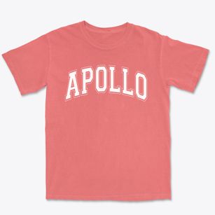 Apollo Elementary School Varsity Arch Premium Heavyweight T-shirt