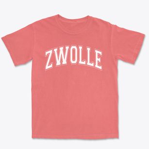 Zwolle Elementary School Varsity Arch Premium Heavyweight T-shirt