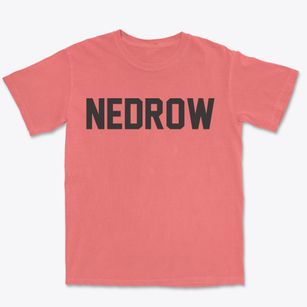 Nedrow New York Classic Block Premium Heavyweight T-shirt