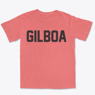Gilboa New York Classic Block Premium Heavyweight T-shirt