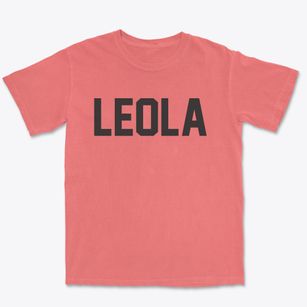 Leola South Dakota Classic Block Premium Heavyweight T-shirt