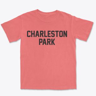 Charleston Park Florida Classic Block Premium Heavyweight T-shirt