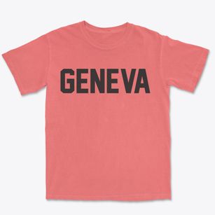 Geneva Georgia Classic Block Premium Heavyweight T-shirt