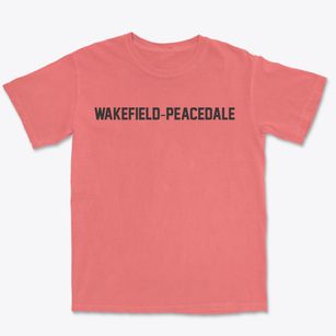 Wakefield-peacedale Rhode Island Classic Block Premium Heavyweight T-shirt