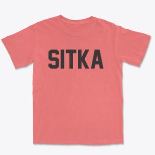 Sitka Alaska Classic Block Premium Heavyweight T-shirt